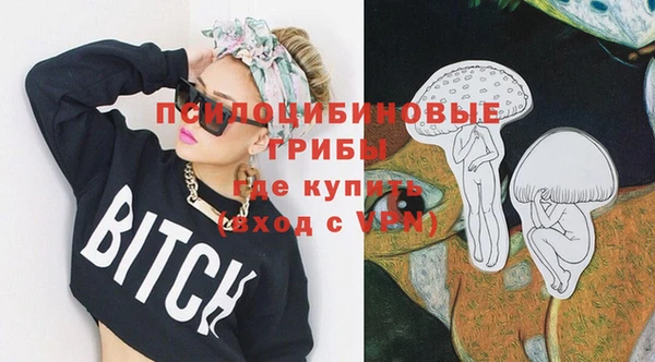 mix Алексин