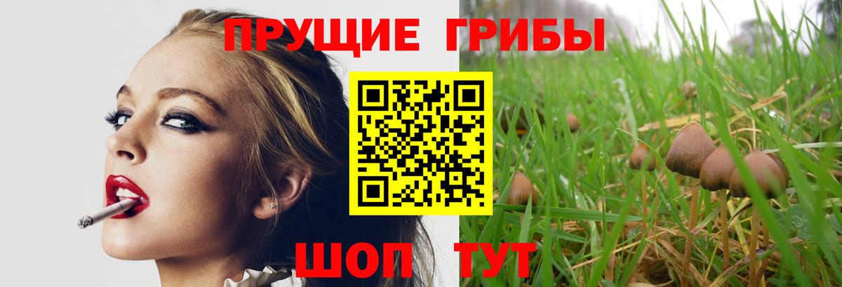 Галлюциногенные грибы мухоморы Ленинск-Кузнецкий
